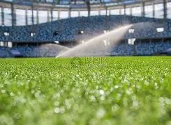 万博体育,平台,产品,万博,万博官网,万博体育,万博体育官网,万博体育官方网站