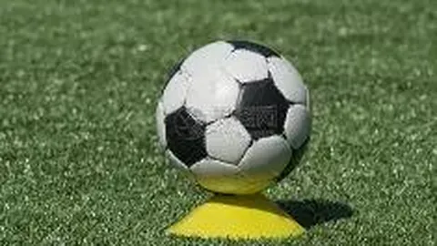 万博体育Manbetx平台 产品 140301 phw