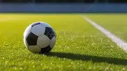 万博体育Manbetx平台 资讯 140308 qny